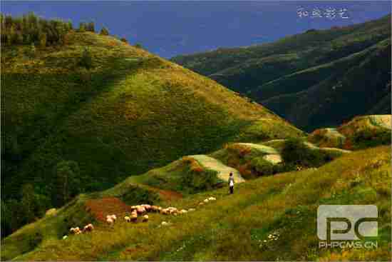 新浪河北旅游配图：秋到草原天路 新浪博主 和煦影艺
