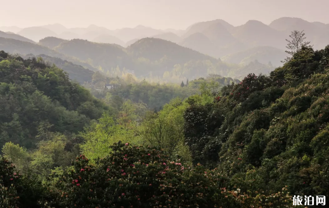 贵州有哪些景点好玩的地方 贵州有哪些景点好玩的地方