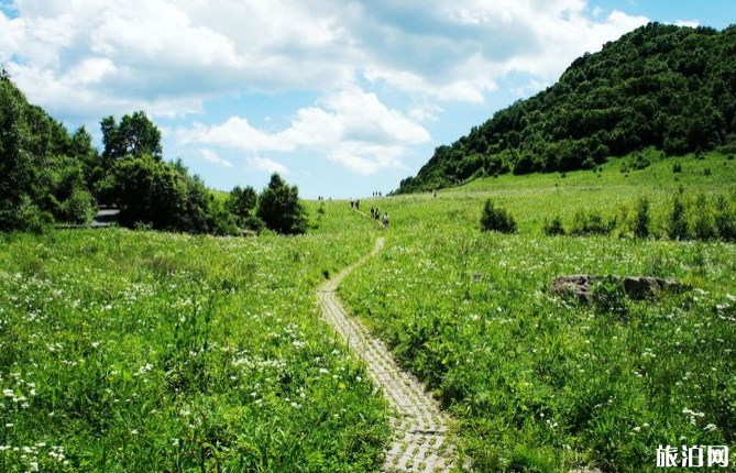 北京夏天避暑最佳旅游地 7月北京去哪里玩