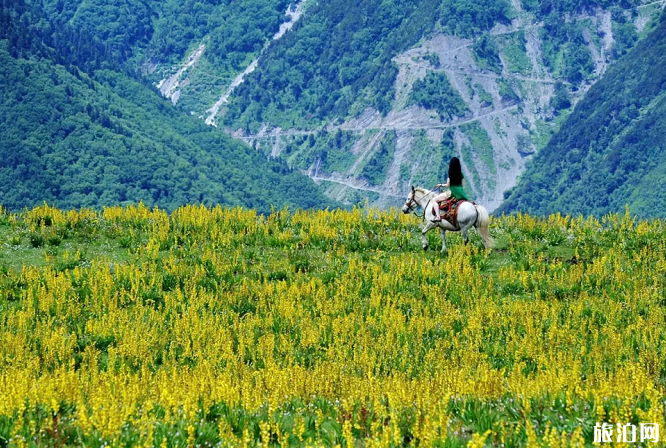 云顶花海门票价格几月最美-游玩攻略 云顶花海门票价格几月最美-游玩攻略