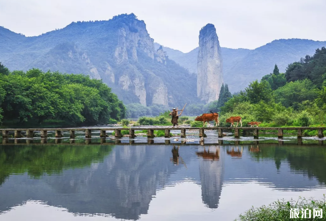 丽水有什么好玩的地方旅游景点