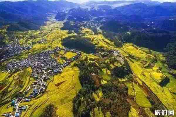玉溪2020春节活动信息汇总 城区-新平县城