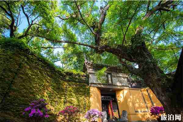 惠山寺2020元旦撞钟祈福 祈福时间安排