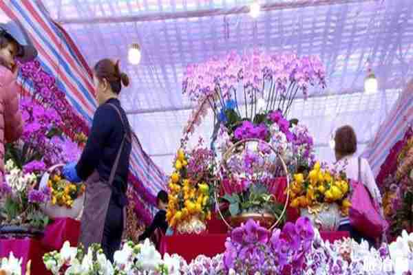 2020斗门迎春花市1月15日开启 持续时间+内容介绍