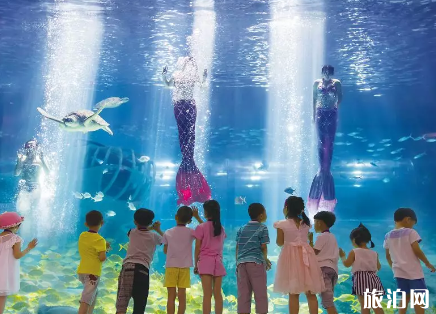 2019年福州海洋马戏嘉年华有哪些活动