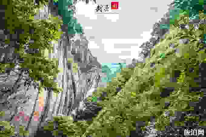 武夷山旅游攻略 武夷山门票多少2018 武夷山旅游攻略 武夷山门票多少2018