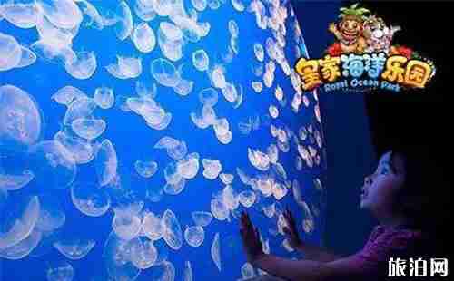 皇家海洋乐园通票包含哪些项目 皇家海洋乐园通票包含哪些项目