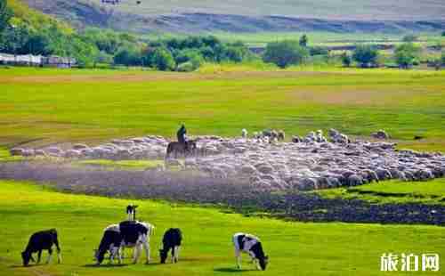 呼伦贝尔有哪些消费陷阱