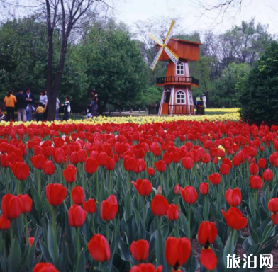 沈阳景点排行榜2018 沈阳必去的景点排名 沈阳景点排行榜2018 沈阳必去的景点排名