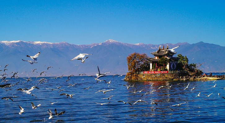 青海湖必去景点 青海湖景点排行榜2018 青海湖必去景点 青海湖景点排行榜2018