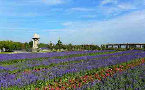 2018六一儿童节石家庄植物园免费吗