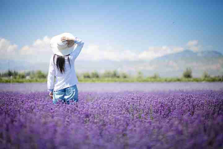 六月哪里可以赏花 夏天赏花攻略 六月哪里可以赏花 夏天赏花攻略