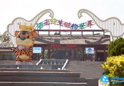 2018济南野生动物世界门票+免费政策+交通
