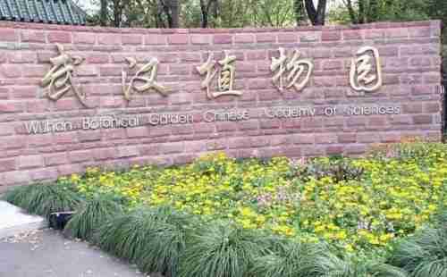 武汉植物园好玩吗 武汉植物园有什么好玩的 武汉植物园好玩吗 武汉植物园有什么好玩的