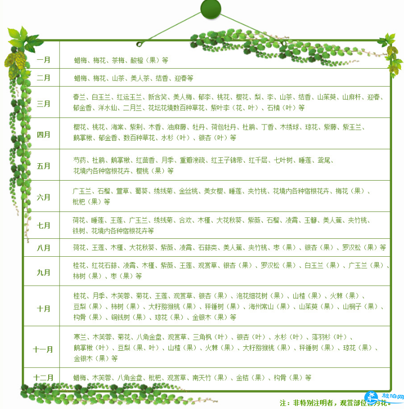 2018上海植物园门票价格+优惠政策+停车信息 2018上海植物园门票价格+优惠政策+停车信息