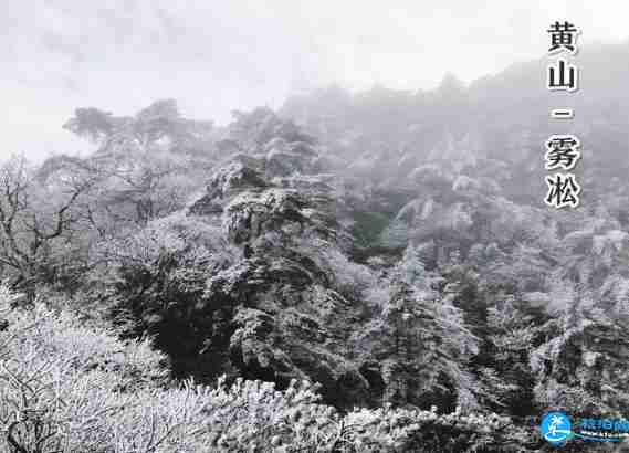 黄山雾凇观赏时间 黄山雾凇持续多久 黄山雾凇观赏时间 黄山雾凇持续多久