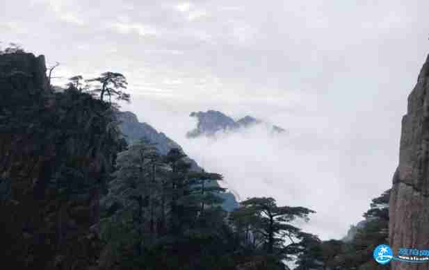 黄山雾凇观赏时间 黄山雾凇持续多久 黄山雾凇观赏时间 黄山雾凇持续多久