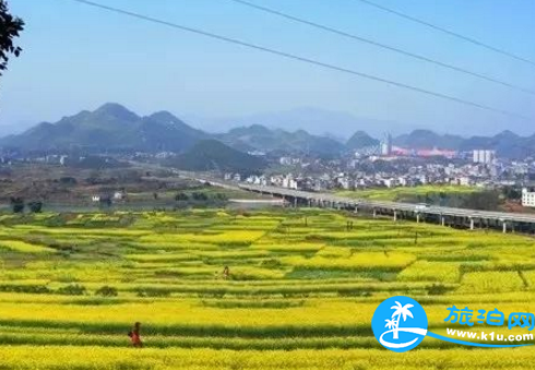 2018三月郴州赏花攻略花期+地址+交通 2018三月郴州赏花攻略花期+地址+交通