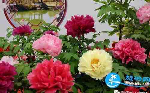 2018广州华南植物园三八妇女节门票有优惠吗/多少钱 2018广州华南植物园三八妇女节门票有优惠吗/多少钱