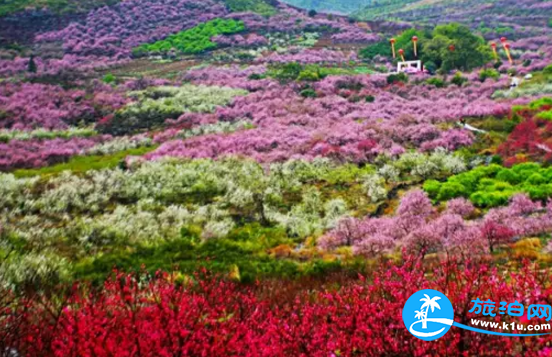 2018桂林赏花时间表 桂林哪里可以赏花花期+地址 2018桂林赏花时间表 桂林哪里可以赏花花期+地址