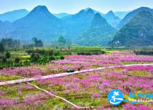 2018桂林赏花时间表 桂林哪里可以赏花花期+地址 2018桂林赏花时间表 桂林哪里可以赏花花期+地址