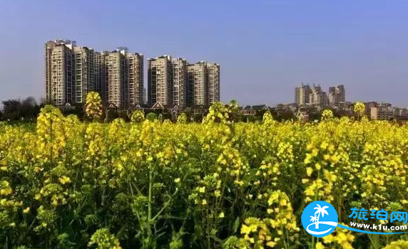 温江春天赏花地点有哪些 2018温江赏花攻略门票+推荐线路 温江春天赏花地点有哪些 2018温江赏花攻略门票+推荐线路
