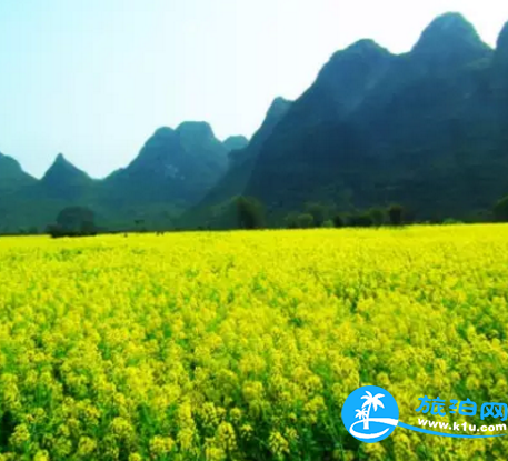 2018桂林赏花时间表 桂林哪里可以赏花花期+地址 2018桂林赏花时间表 桂林哪里可以赏花花期+地址