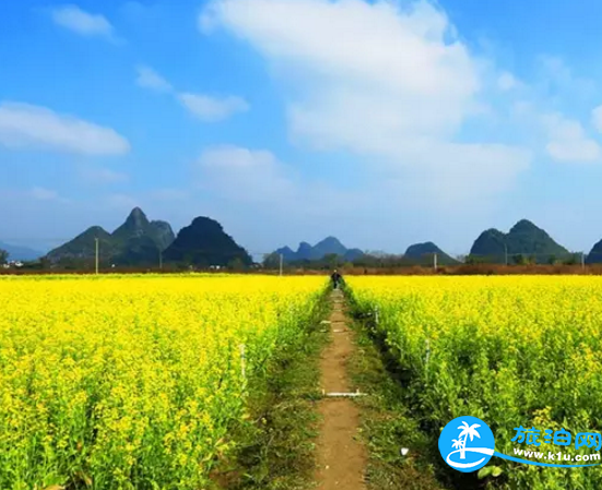 2018桂林赏花时间表 桂林哪里可以赏花花期+地址 2018桂林赏花时间表 桂林哪里可以赏花花期+地址