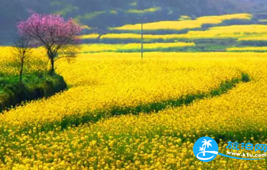 2018桂林赏花时间表 桂林哪里可以赏花花期+地址 2018桂林赏花时间表 桂林哪里可以赏花花期+地址