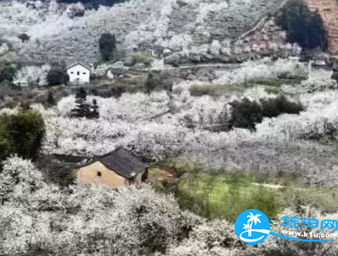 2018桂林赏花时间表 桂林哪里可以赏花花期+地址 2018桂林赏花时间表 桂林哪里可以赏花花期+地址