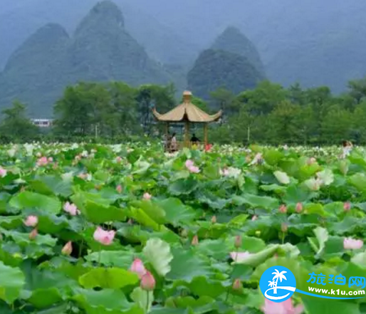 2018桂林赏花时间表 桂林哪里可以赏花花期+地址 2018桂林赏花时间表 桂林哪里可以赏花花期+地址
