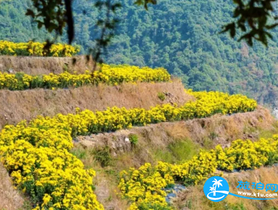 2018桂林赏花时间表 桂林哪里可以赏花花期+地址 2018桂林赏花时间表 桂林哪里可以赏花花期+地址