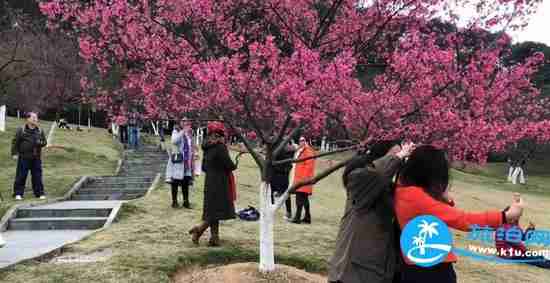 南宁春天赏花地点有哪些 2018南宁赏花地址+门票 南宁春天赏花地点有哪些 2018南宁赏花地址+门票