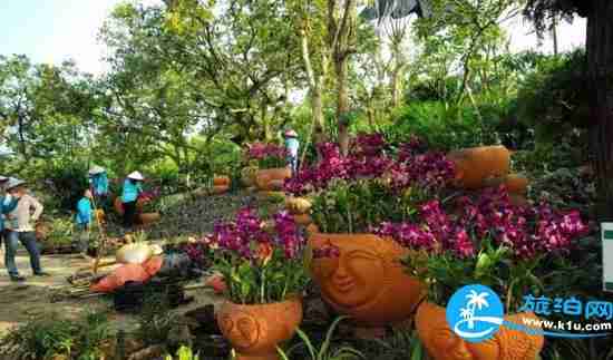 南宁春天赏花地点有哪些 2018南宁赏花地址+门票 南宁春天赏花地点有哪些 2018南宁赏花地址+门票