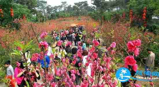 南宁春天赏花地点有哪些 2018南宁赏花地址+门票 南宁春天赏花地点有哪些 2018南宁赏花地址+门票