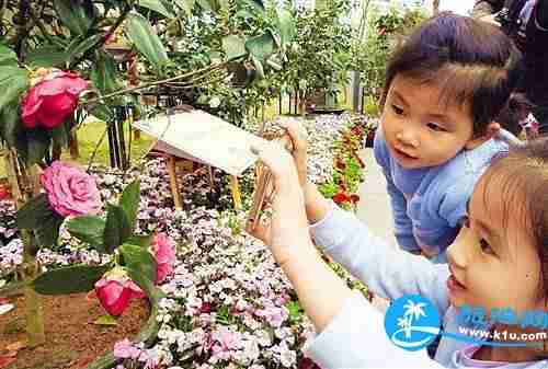 南宁春天赏花地点有哪些 2018南宁赏花地址+门票 南宁春天赏花地点有哪些 2018南宁赏花地址+门票