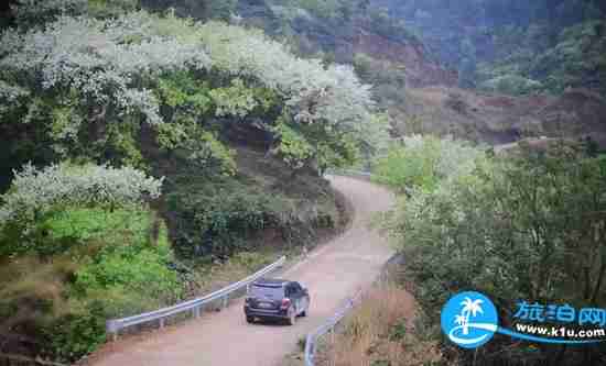南宁春天赏花地点有哪些 2018南宁赏花地址+门票 南宁春天赏花地点有哪些 2018南宁赏花地址+门票