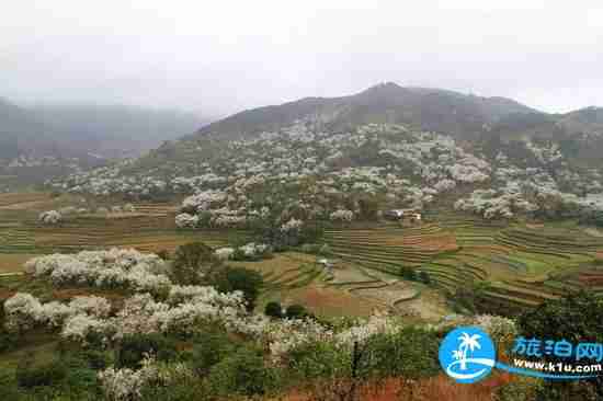 南宁春天赏花地点有哪些 2018南宁赏花地址+门票 南宁春天赏花地点有哪些 2018南宁赏花地址+门票