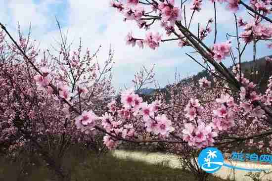 南宁春天赏花地点有哪些 2018南宁赏花地址+门票 南宁春天赏花地点有哪些 2018南宁赏花地址+门票