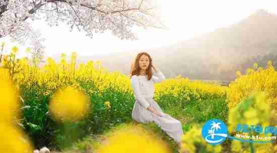 南宁春天赏花地点有哪些 2018南宁赏花地址+门票 南宁春天赏花地点有哪些 2018南宁赏花地址+门票