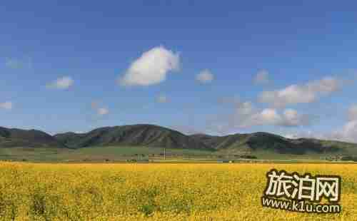 2018兴化千岛油菜花节时间+门票+交通