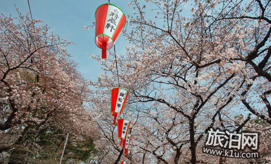 东京的樱花什么时候开2018 东京看樱花的地方推荐 东京的樱花什么时候开2018 东京看樱花的地方推荐