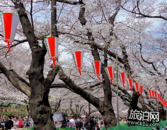 东京的樱花什么时候开2018 东京看樱花的地方推荐 东京的樱花什么时候开2018 东京看樱花的地方推荐
