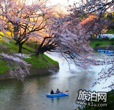 东京的樱花什么时候开2018 东京看樱花的地方推荐 东京的樱花什么时候开2018 东京看樱花的地方推荐