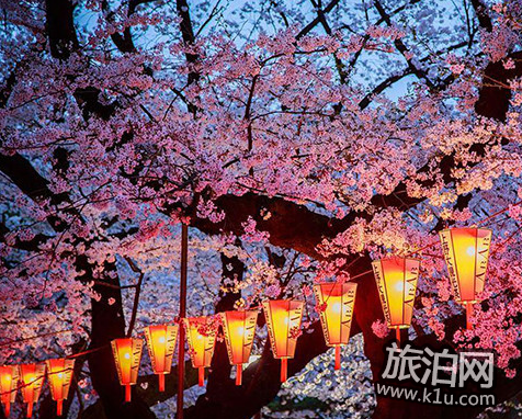 东京的樱花什么时候开2018 东京看樱花的地方推荐 东京的樱花什么时候开2018 东京看樱花的地方推荐