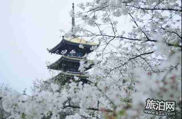 2018年武汉春季有哪些可以赏花的地方推荐 2018年武汉春季有哪些可以赏花的地方推荐