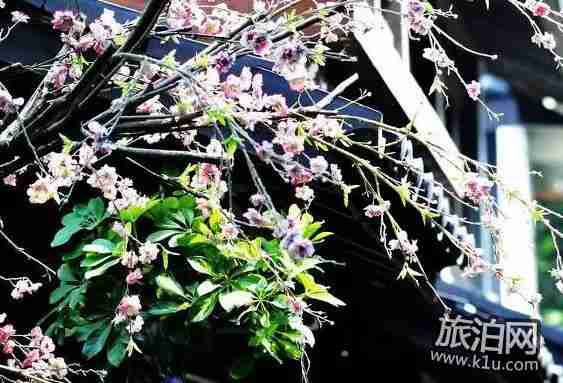 2018年武汉春季有哪些可以赏花的地方推荐 2018年武汉春季有哪些可以赏花的地方推荐