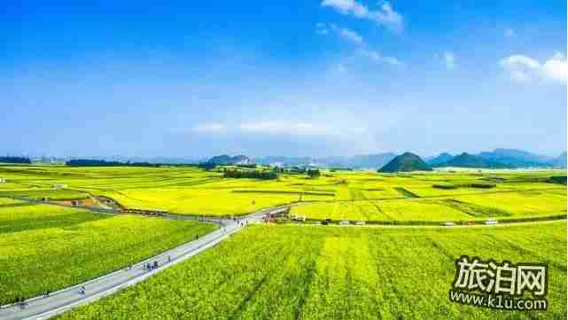 2018年武汉春季有哪些可以赏花的地方推荐 2018年武汉春季有哪些可以赏花的地方推荐