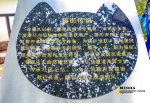 国内猫咪主题博物馆在哪 猫咪主题博物馆有多少种类的猫 国内猫咪主题博物馆在哪 猫咪主题博物馆有多少种类的猫