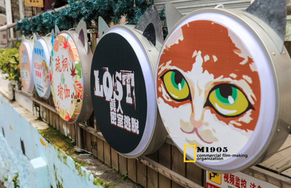 国内猫咪主题博物馆在哪 猫咪主题博物馆有多少种类的猫 国内猫咪主题博物馆在哪 猫咪主题博物馆有多少种类的猫